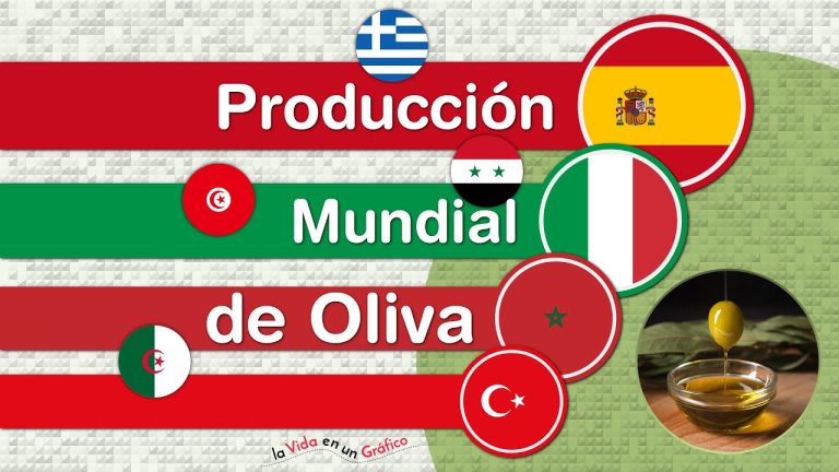 España: el líder mundial como país productor de aceite de oliva